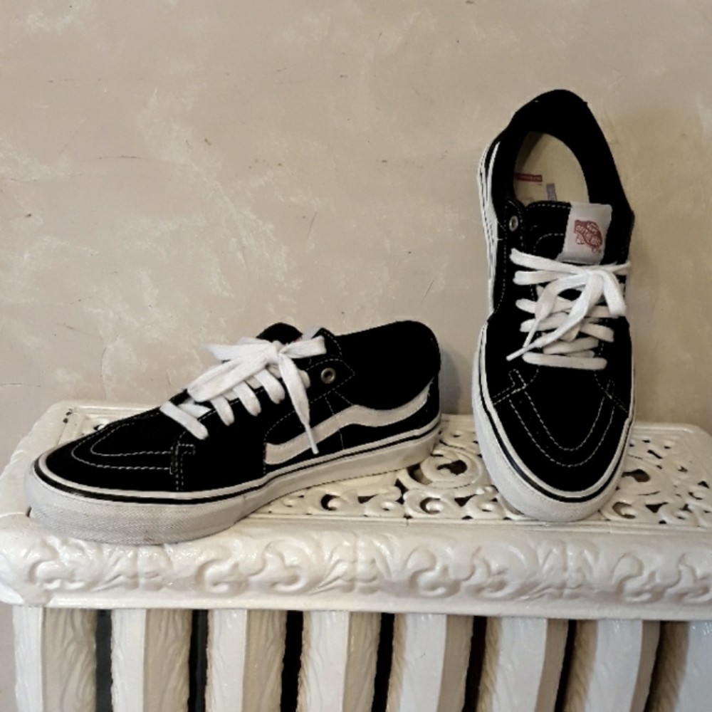 Van's skate shoes